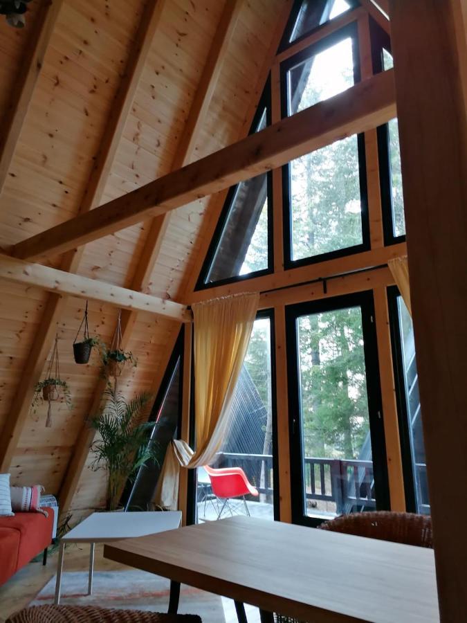 Zlatair Chalets Villa Nova Varoš Esterno foto