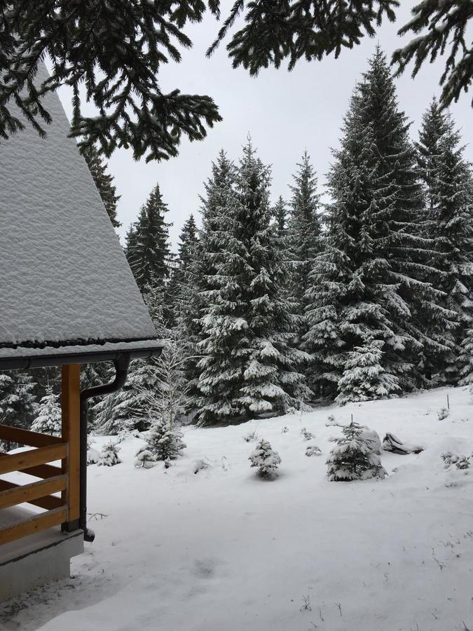 Zlatair Chalets Villa Nova Varoš Esterno foto