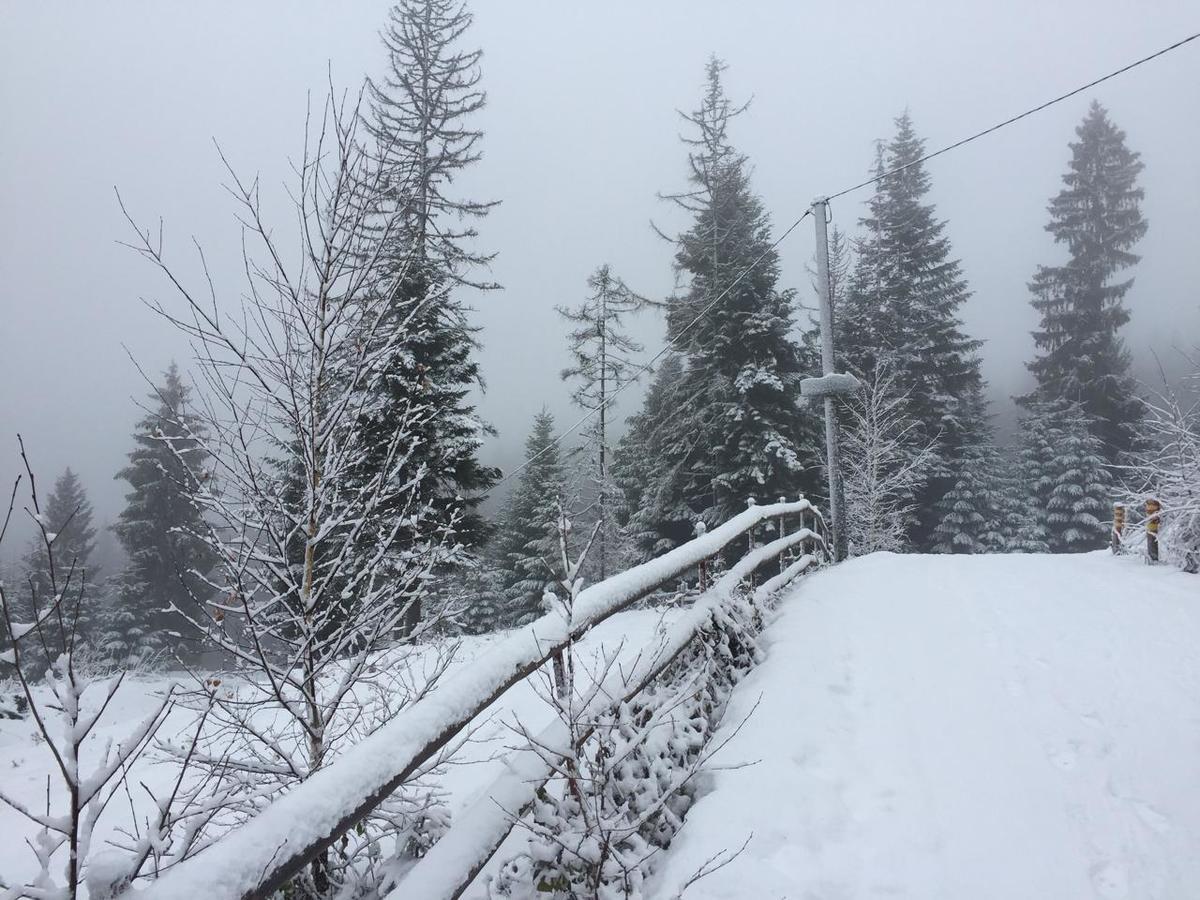 Zlatair Chalets Villa Nova Varoš Esterno foto